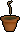 Calquat sapling.png